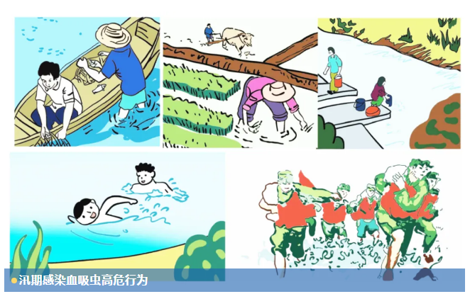 1719822879326022067.png image.png