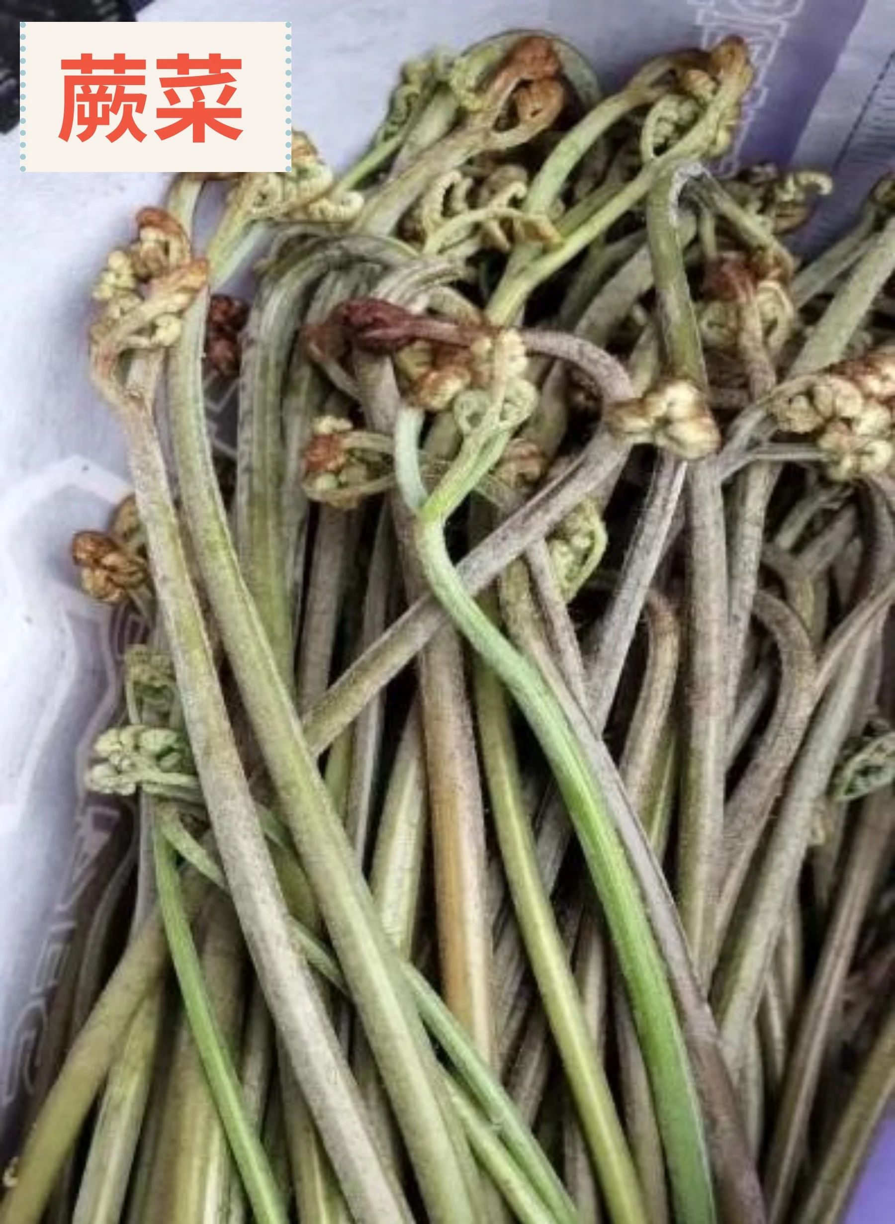 1742435061335006719.jpg 0bcada0ef58a92cddec5a13c63a81c7f.jpg