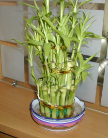 1692175630021075712.jpg 6.jpg