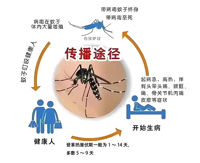 1695626623085075470.png 2.png