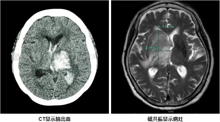 1739265103030074038.png 微信截图_20250211170159.png